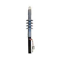 Cellpack gala apdare CAESKW-F 1x35...95mm2 24kV + EGA16-2, Wisky cab., 289909W cover photo