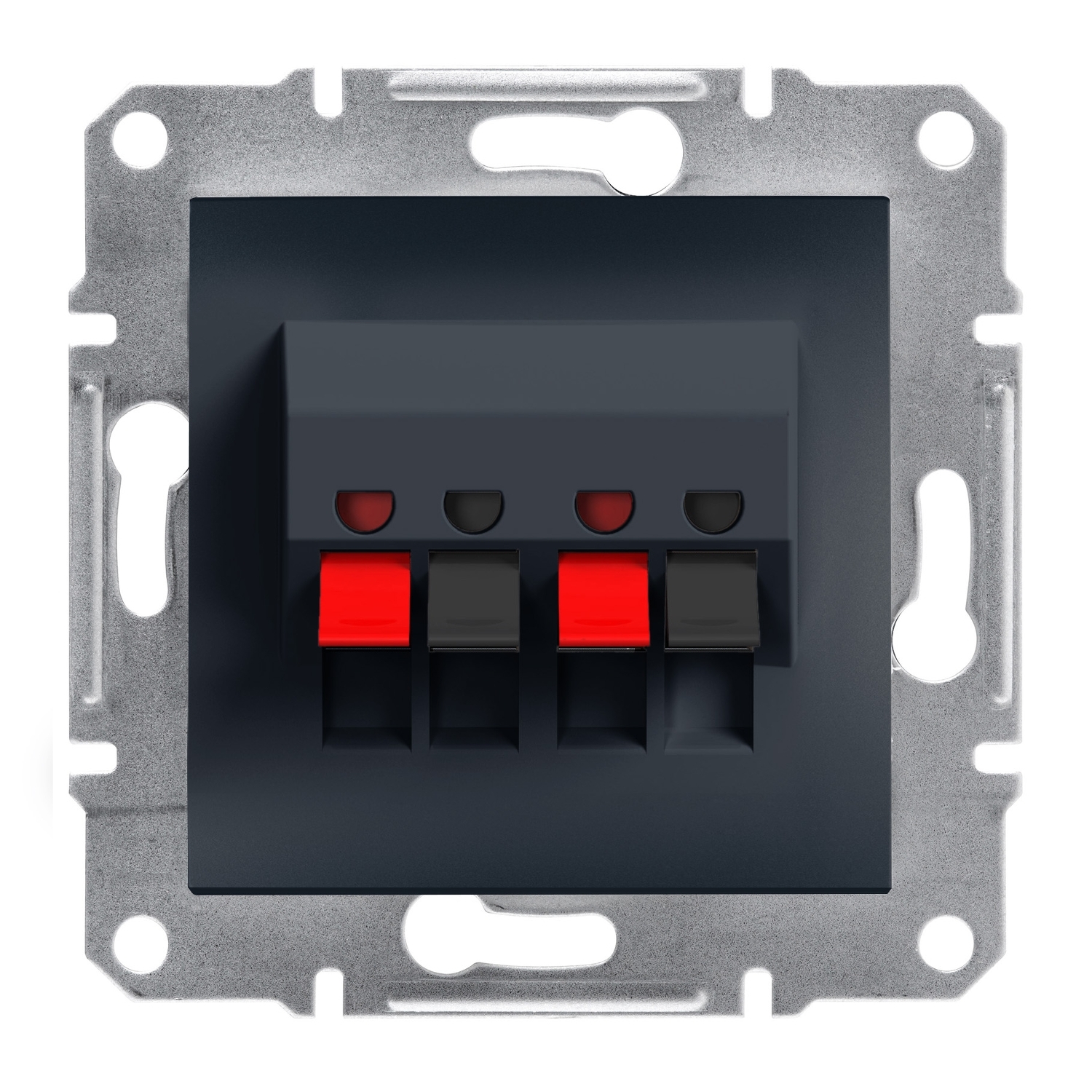 Schneider Electric audio skaļruņu kontaktligzda 2-v, antracīts, Asfora, EPH5700171 cover photo