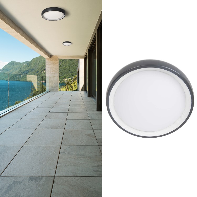 Leds C4 dekoratīvais LED gaismeklis RIHNO 15W 1550lm 4000K IK10 IP65 , PX-0283-ANT cover photo