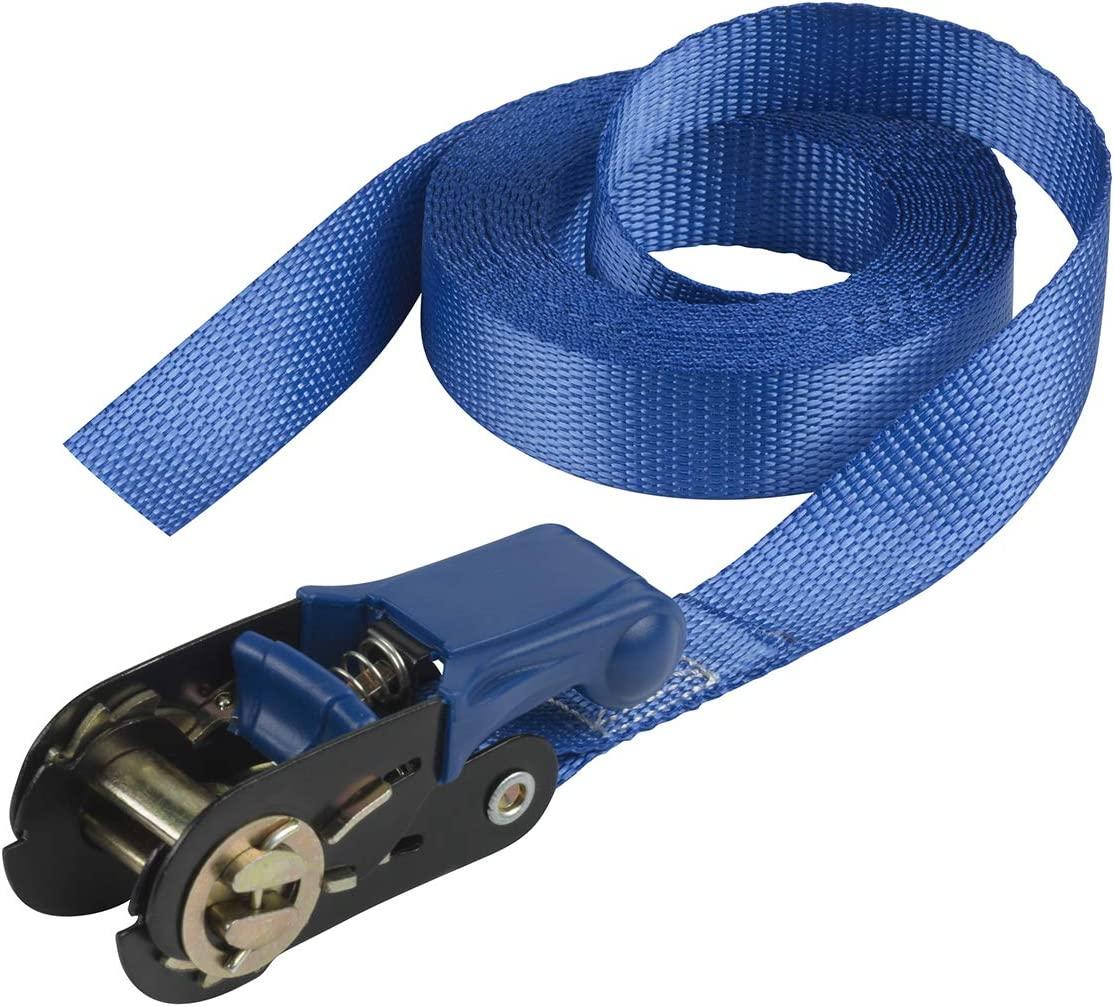 MasterLock kravas siksna ar savilcēju Eco 5m/25mm, 4365EURDAT cover photo