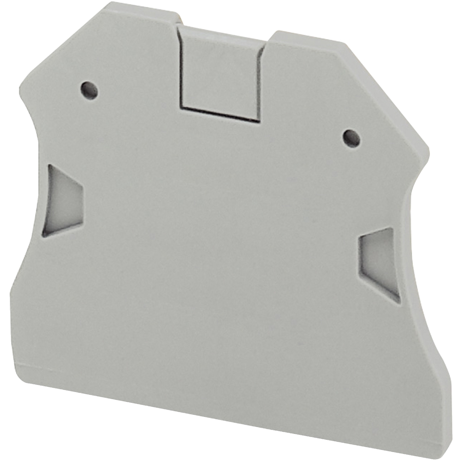 Schneider Electric gala vāks pelēks 2.5 - 10 mm2, NSYTRAC22 cover photo
