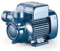 Pedrollo ūdens sūknis PQm 100 1,1kW 230V 50Hz cover photo